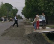 Panait a vegheat alegatorii