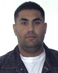 Oaie si acolitii sai sunt liberi