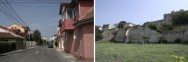 Afacerea spatii verzi