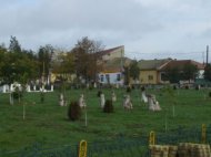 Cogealac - o comuna europeana, cu \