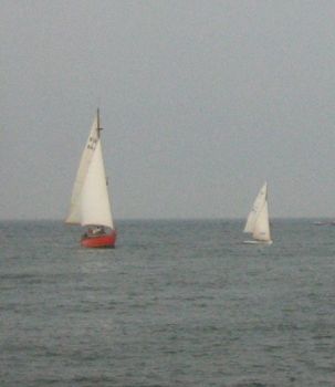 1221421669.jpg