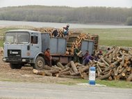 Lemne de foc la pret dublu fata de Directia Silvica