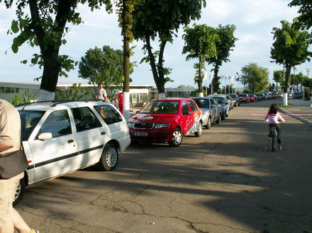 caracatite si la mangalia galerie foto 246318 caracatite si la mangalia galerie foto 246318