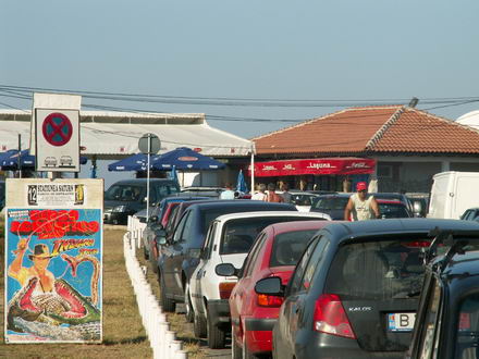 caracatite si la mangalia galerie foto 246318 caracatite si la mangalia galerie foto 246318