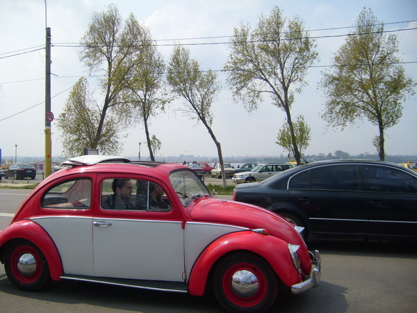 bolizii barcile si luxul distractia lui mazare in 2008 galerie foto 247335 bolizii barcile si luxul distractia lui mazare in 2008 galerie foto 247335