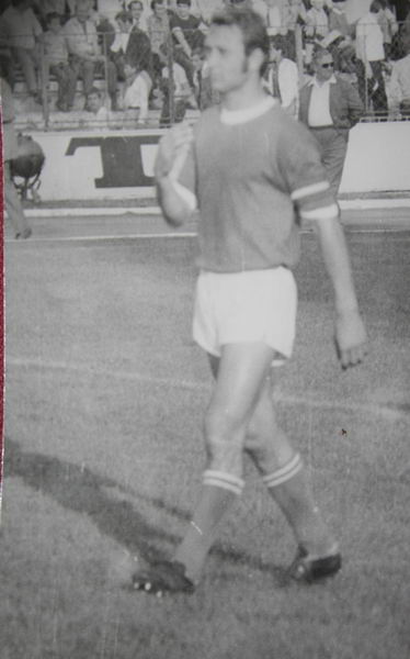 dumitru antonescu rica raducanu putea ajunge la farul galerie foto 250050 dumitru antonescu rica raducanu putea ajunge la farul galerie foto 250050