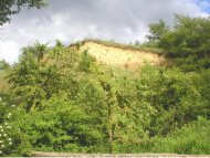 LOCUL FOSILIFER MOVILA BANULUI