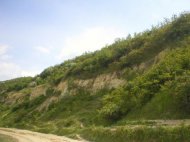 LOCUL FOSILIFER ALIMAN