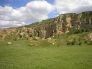 RECIFUL NEOJURASIC TOPALU