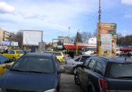 Ce culoare are zebra?