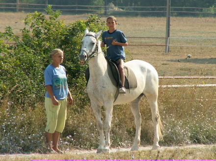 nu poti sa strigi la turist fereste ca trece caruta galerie foto 251197 nu poti sa strigi la turist fereste ca trece caruta galerie foto 251197
