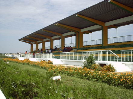 nu poti sa strigi la turist fereste ca trece caruta galerie foto 251197 nu poti sa strigi la turist fereste ca trece caruta galerie foto 251197