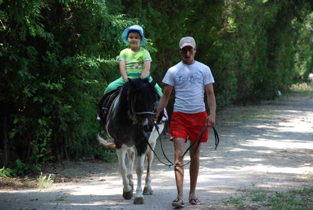 nu poti sa strigi la turist fereste ca trece caruta galerie foto 251197 nu poti sa strigi la turist fereste ca trece caruta galerie foto 251197