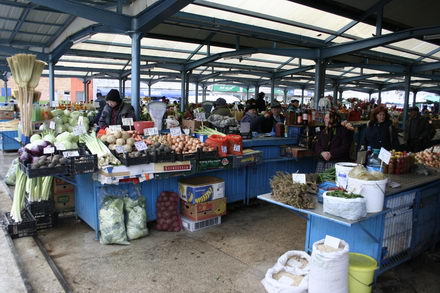 un morcov o ceapa si niste telina meniul de criza 251507 un morcov o ceapa si niste telina meniul de criza 251507