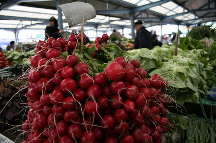 un morcov o ceapa si niste telina meniul de criza 251507 un morcov o ceapa si niste telina meniul de criza 251507