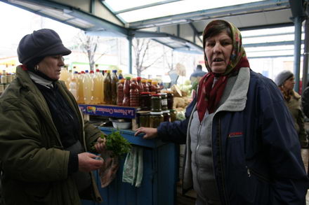 un morcov o ceapa si niste telina meniul de criza 251507 un morcov o ceapa si niste telina meniul de criza 251507