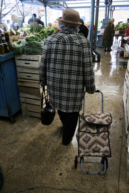 un morcov o ceapa si niste telina meniul de criza 251507 un morcov o ceapa si niste telina meniul de criza 251507