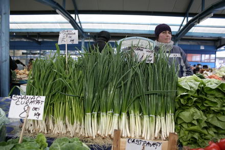 un morcov o ceapa si niste telina meniul de criza 251507 un morcov o ceapa si niste telina meniul de criza 251507