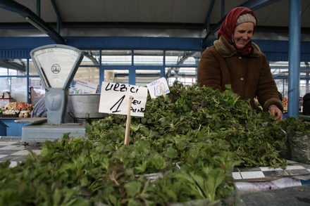 un morcov o ceapa si niste telina meniul de criza 251507 un morcov o ceapa si niste telina meniul de criza 251507