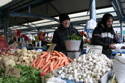 un morcov o ceapa si niste telina meniul de criza 251507 un morcov o ceapa si niste telina meniul de criza 251507
