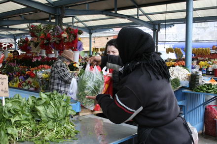 un morcov o ceapa si niste telina meniul de criza 251507 un morcov o ceapa si niste telina meniul de criza 251507
