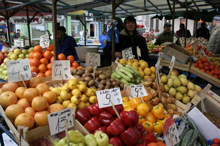 un morcov o ceapa si niste telina meniul de criza 251507 un morcov o ceapa si niste telina meniul de criza 251507