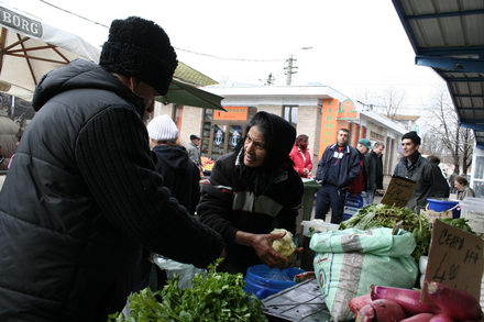 un morcov o ceapa si niste telina meniul de criza 251507 un morcov o ceapa si niste telina meniul de criza 251507