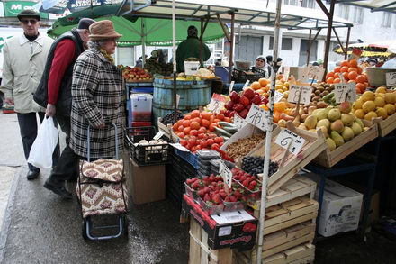un morcov o ceapa si niste telina meniul de criza 251507 un morcov o ceapa si niste telina meniul de criza 251507