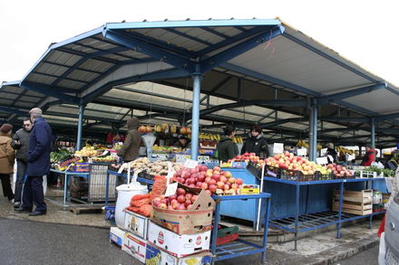 un morcov o ceapa si niste telina meniul de criza 251507 un morcov o ceapa si niste telina meniul de criza 251507