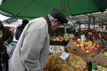 un morcov o ceapa si niste telina meniul de criza 251507 un morcov o ceapa si niste telina meniul de criza 251507