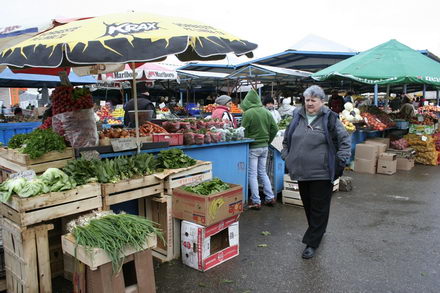un morcov o ceapa si niste telina meniul de criza 251507 un morcov o ceapa si niste telina meniul de criza 251507