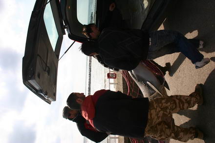 sapte delfini morti in sudul litoralului galerie foto 253114 sapte delfini morti in sudul litoralului galerie foto 253114