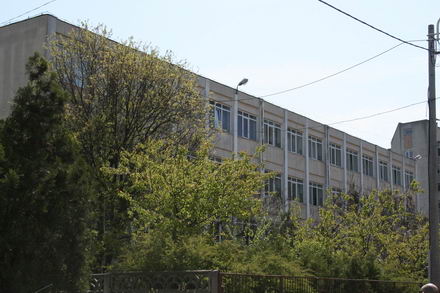 program guvernamental cu iaurt aproape expirat galerie foto 253890 program guvernamental cu iaurt aproape expirat galerie foto 253890