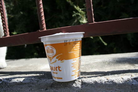 program guvernamental cu iaurt aproape expirat galerie foto 253890 program guvernamental cu iaurt aproape expirat galerie foto 253890