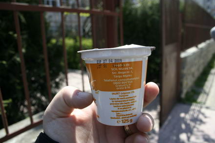 program guvernamental cu iaurt aproape expirat galerie foto 253890 program guvernamental cu iaurt aproape expirat galerie foto 253890