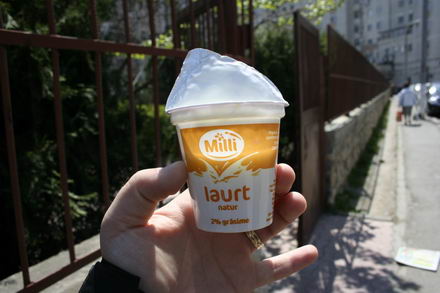 program guvernamental cu iaurt aproape expirat galerie foto 253890 program guvernamental cu iaurt aproape expirat galerie foto 253890