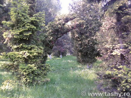 cel mai bun administrator de parcuri este natura galerie foto 254519 cel mai bun administrator de parcuri este natura galerie foto 254519