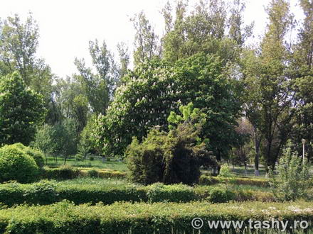 cel mai bun administrator de parcuri este natura galerie foto 254519 cel mai bun administrator de parcuri este natura galerie foto 254519