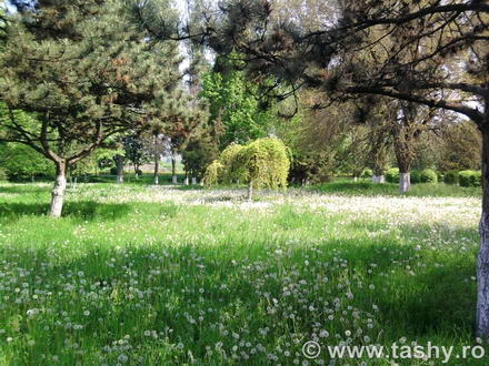 cel mai bun administrator de parcuri este natura galerie foto 254519 cel mai bun administrator de parcuri este natura galerie foto 254519