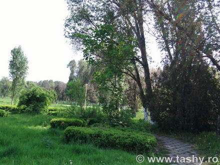 cel mai bun administrator de parcuri este natura galerie foto 254519 cel mai bun administrator de parcuri este natura galerie foto 254519