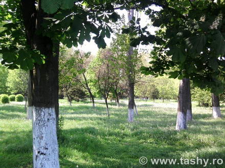 cel mai bun administrator de parcuri este natura galerie foto 254519 cel mai bun administrator de parcuri este natura galerie foto 254519