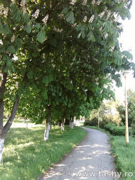 cel mai bun administrator de parcuri este natura galerie foto 254519 cel mai bun administrator de parcuri este natura galerie foto 254519