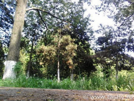 cel mai bun administrator de parcuri este natura galerie foto 254519 cel mai bun administrator de parcuri este natura galerie foto 254519