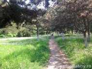 Cel mai bun administrator de parcuri este NATURA (galerie foto)
