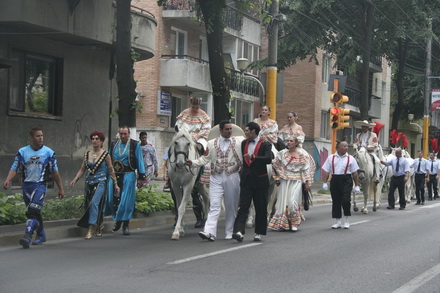 cai si camile pe bulevardele constantei galerie foto 21268 257052 cai si camile pe bulevardele constantei galerie foto 21268 257052