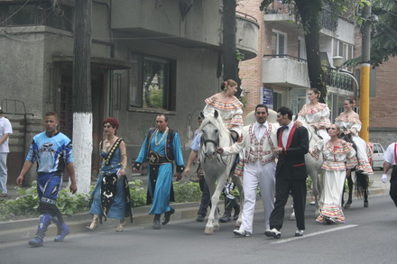 cai si camile pe bulevardele constantei galerie foto 21268 257052 cai si camile pe bulevardele constantei galerie foto 21268 257052