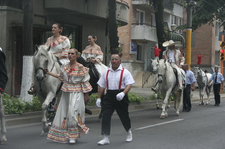 cai si camile pe bulevardele constantei galerie foto 21268 257052 cai si camile pe bulevardele constantei galerie foto 21268 257052