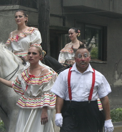 cai si camile pe bulevardele constantei galerie foto 21268 257052 cai si camile pe bulevardele constantei galerie foto 21268 257052