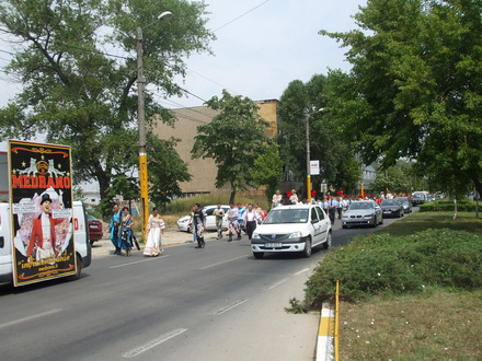 cai si camile pe bulevardele constantei galerie foto 21268 257052 cai si camile pe bulevardele constantei galerie foto 21268 257052