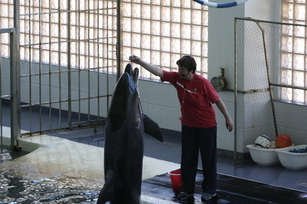delfinariu_delfinul_marc_57.jpg